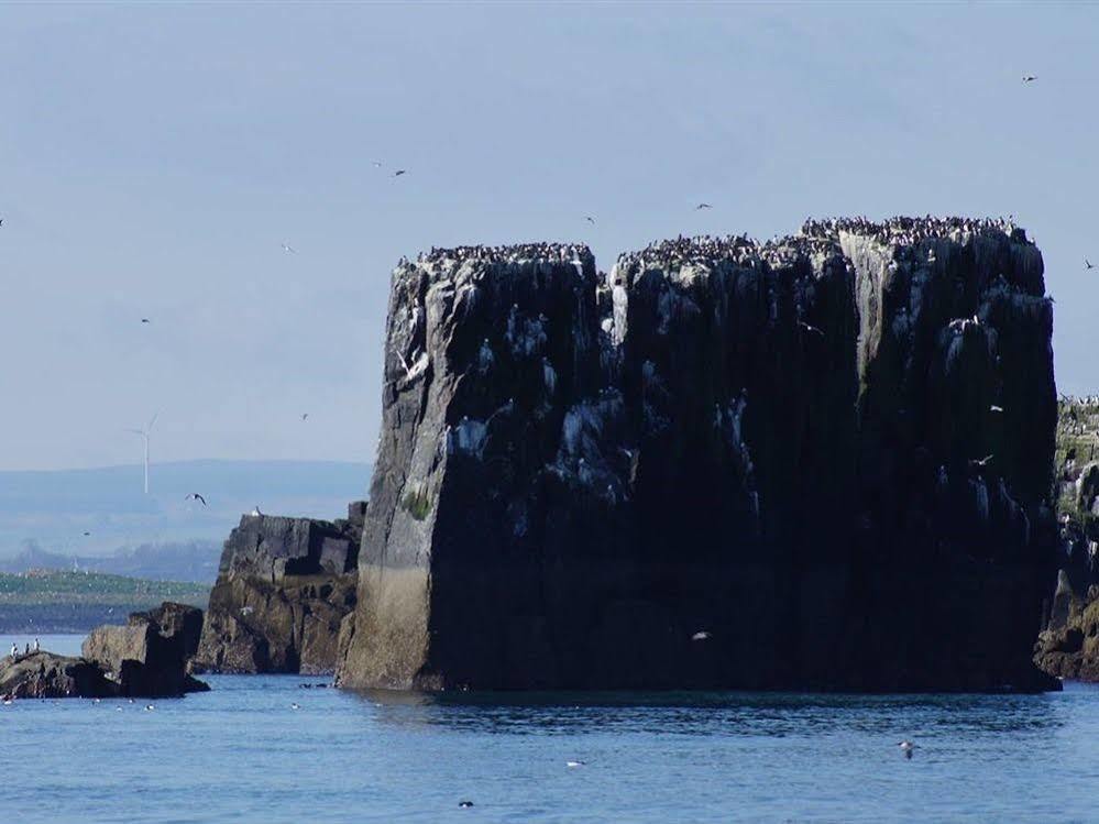 Farne Island Rooms Сихаузес Екстериор снимка